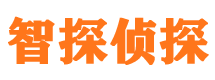 六安外遇调查取证